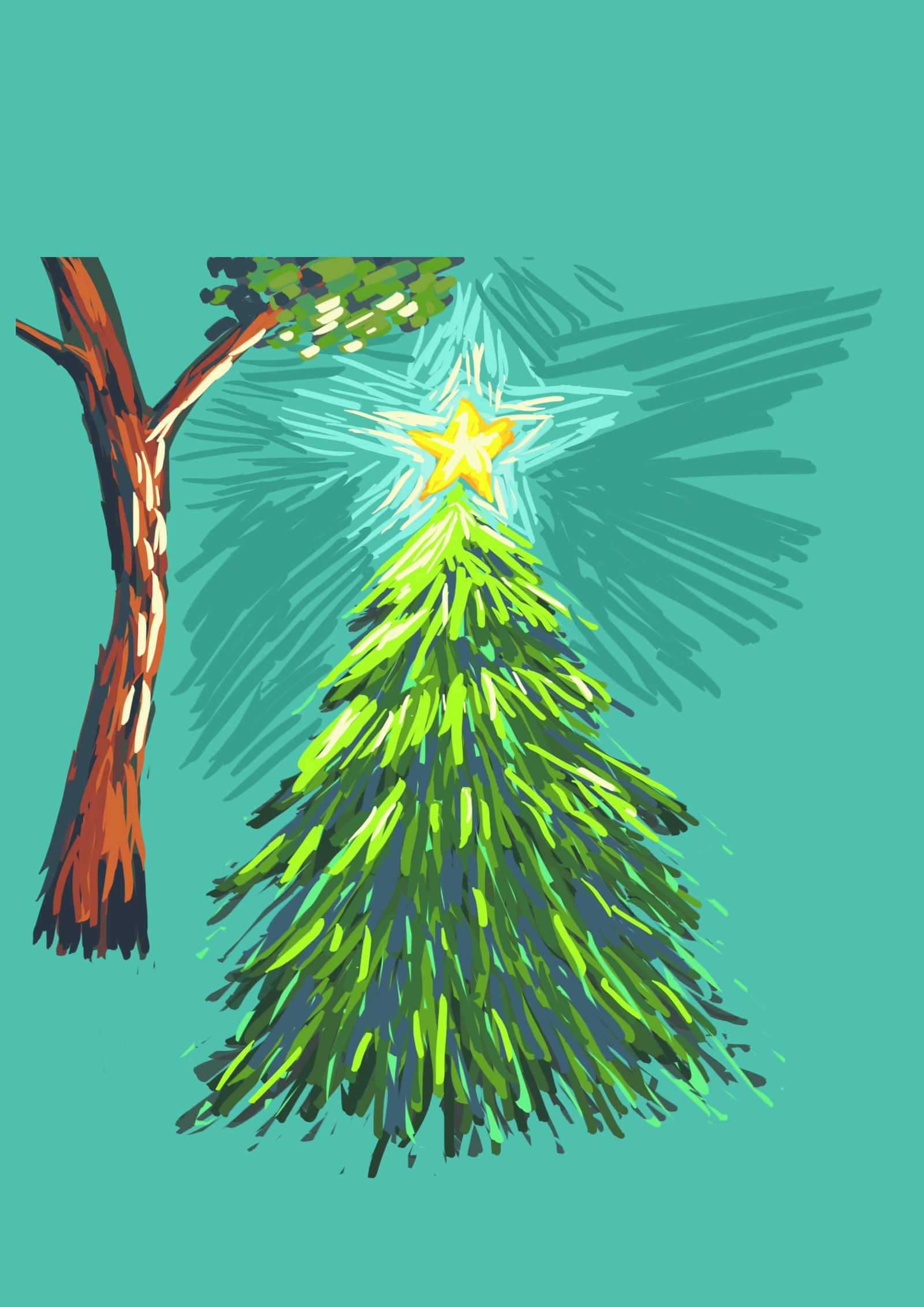 le petit sapin essai