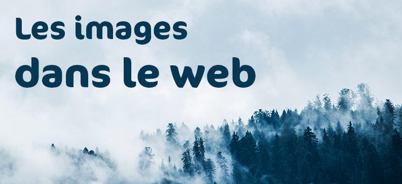 Il est primordial d'utiliser des images pour attirer le regard, notamment sur internet, car elles vont en plus vous permettre d'avoir un bon référencement SEO.