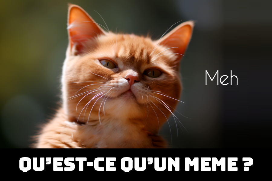 c'est quoi un meme, qu'est-ce qu'un meme, d'où vient les memes ?