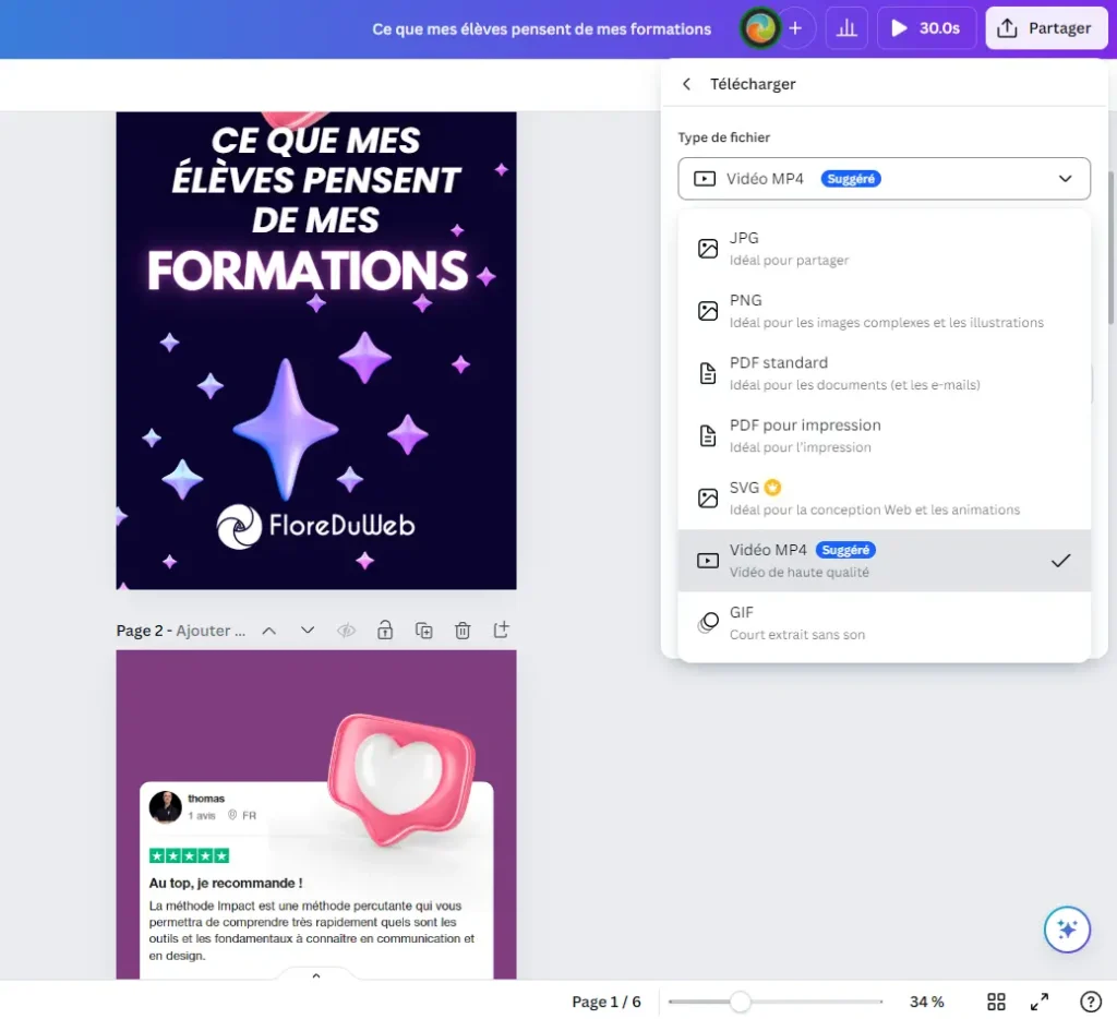 optimisation des visuels avec le graphisme de Canva